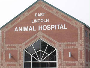 eastlincoln2.jpg